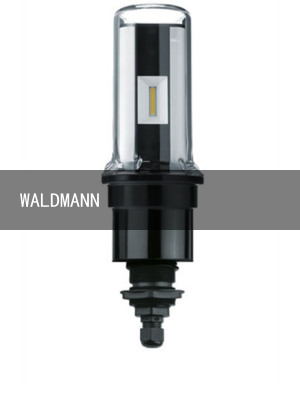 WALDMANN