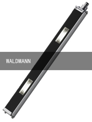 WALDMANN