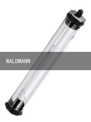 WALDMANN