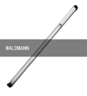 WALDMANN