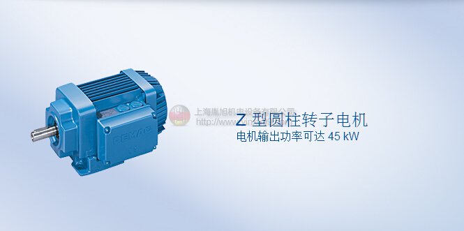 DEMAG電機(jī) Z型圓柱轉(zhuǎn)子電機(jī)