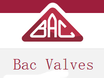 BAC valves logo