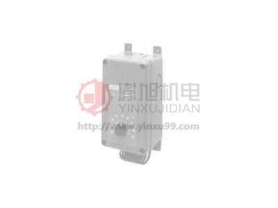 Johnson Controls溫控器T19PC-3C PN:TH-02028